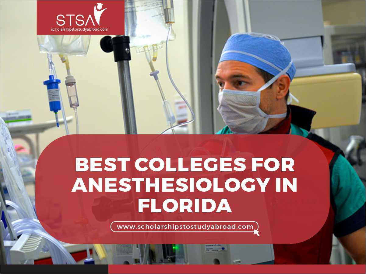 8 Best Colleges For Anesthesiology In Florida 2024 - Scholarships To ...